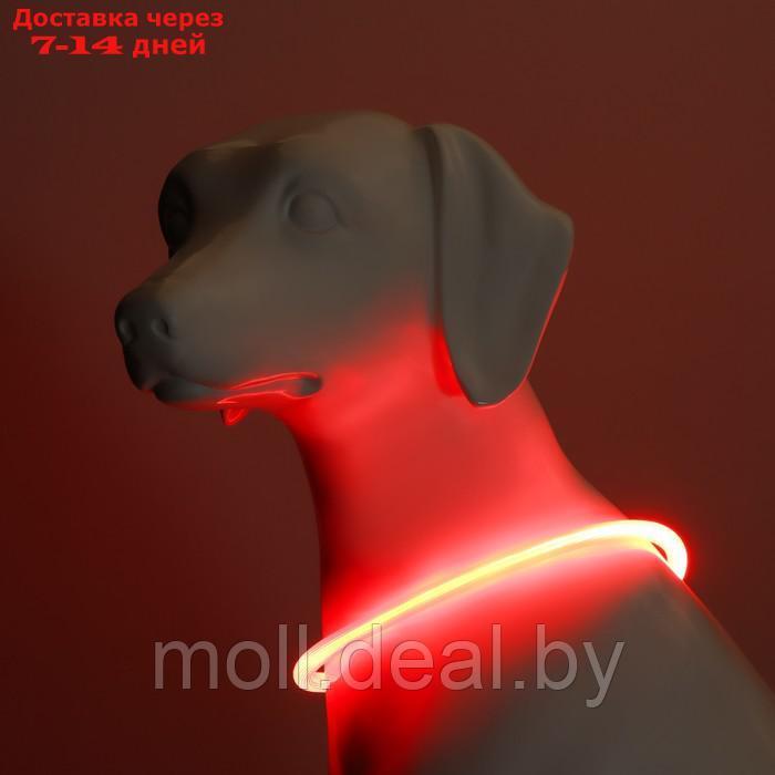 Ошейник - кольцо с подсветкой, зарядка от USB, до 70 см, 3 режима свечения, красный - фото 3 - id-p226888276