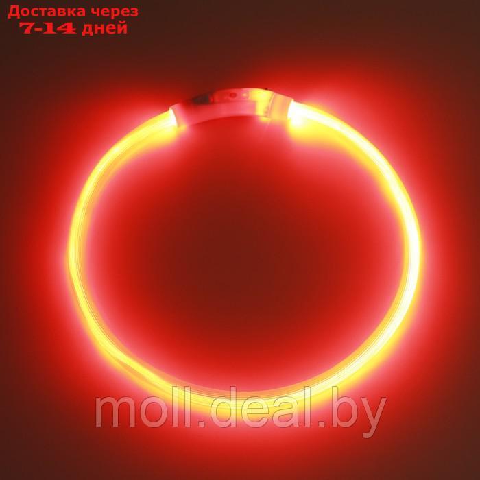 Ошейник - кольцо с подсветкой, зарядка от USB, до 70 см, 3 режима свечения, красный - фото 5 - id-p226888276