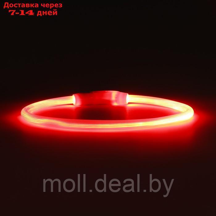 Ошейник - кольцо с подсветкой, зарядка от USB, до 70 см, 3 режима свечения, красный - фото 6 - id-p226888276
