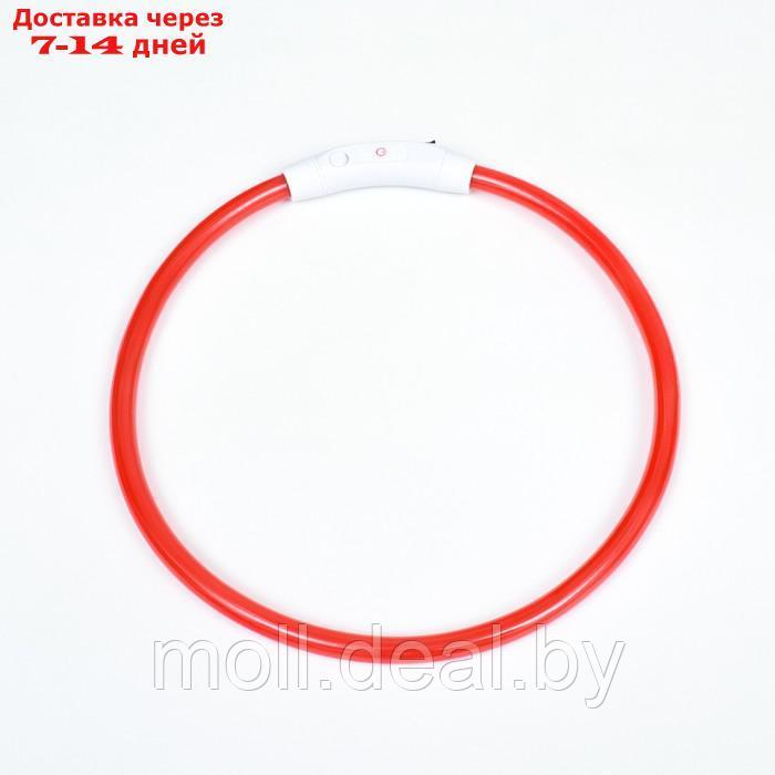 Ошейник - кольцо с подсветкой, зарядка от USB, до 70 см, 3 режима свечения, красный - фото 7 - id-p226888276