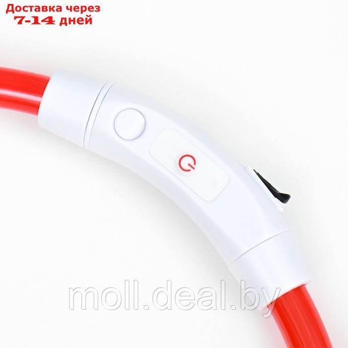 Ошейник - кольцо с подсветкой, зарядка от USB, до 70 см, 3 режима свечения, красный - фото 8 - id-p226888276
