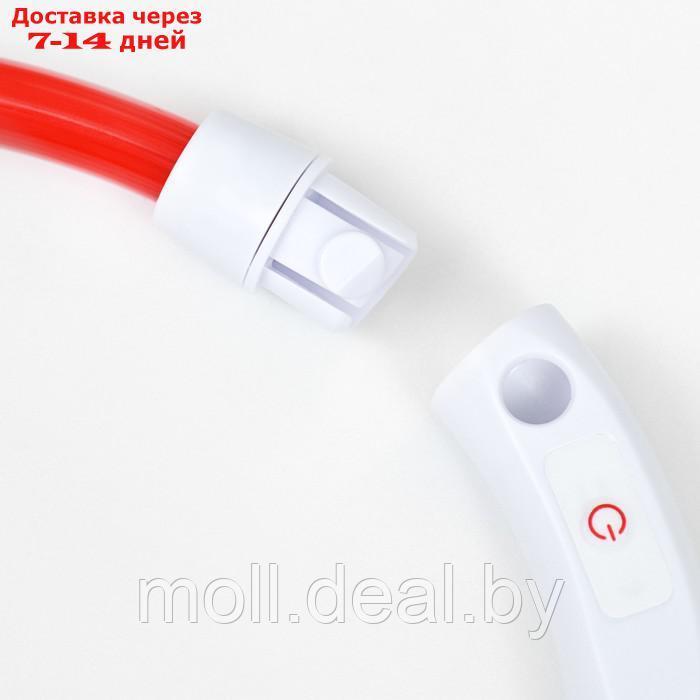 Ошейник - кольцо с подсветкой, зарядка от USB, до 70 см, 3 режима свечения, красный - фото 9 - id-p226888276