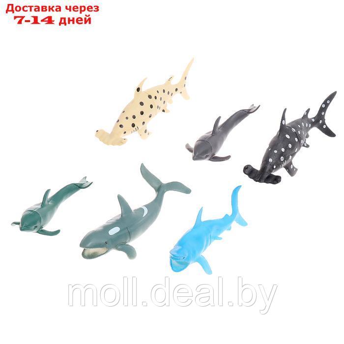 Набор морских животных "Морские жители", 6 фигурок - фото 1 - id-p227082540