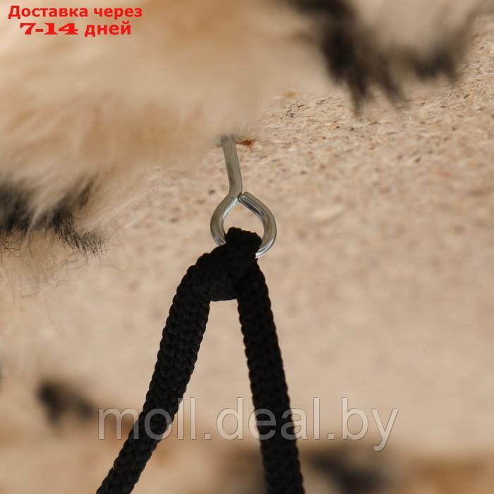 Когтеточка "Пижон" ковролиновая горка, 30 х 58 х 82 см, бежевая - фото 7 - id-p227099666