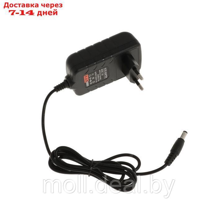 Лампа для гель-лака TNL Easy Pro, UV/LED, 120 Вт, 36 диодов, таймер 10/30/60/99 сек, хром - фото 6 - id-p227086516