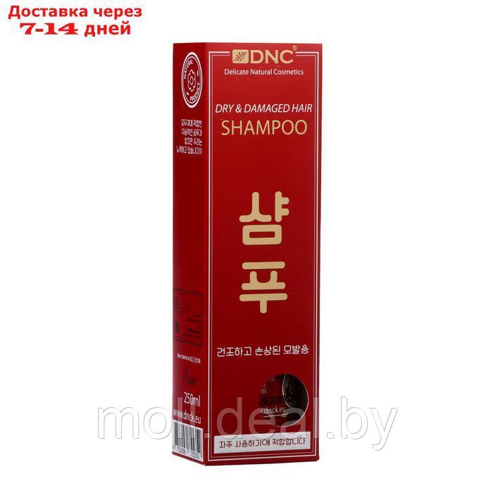 Шампунь для сухих и поврежденных волос DNC, 250 мл - фото 3 - id-p227078578