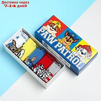 Набор детских носков 5 пар "Boy", PAW PATROL, 14-16 см