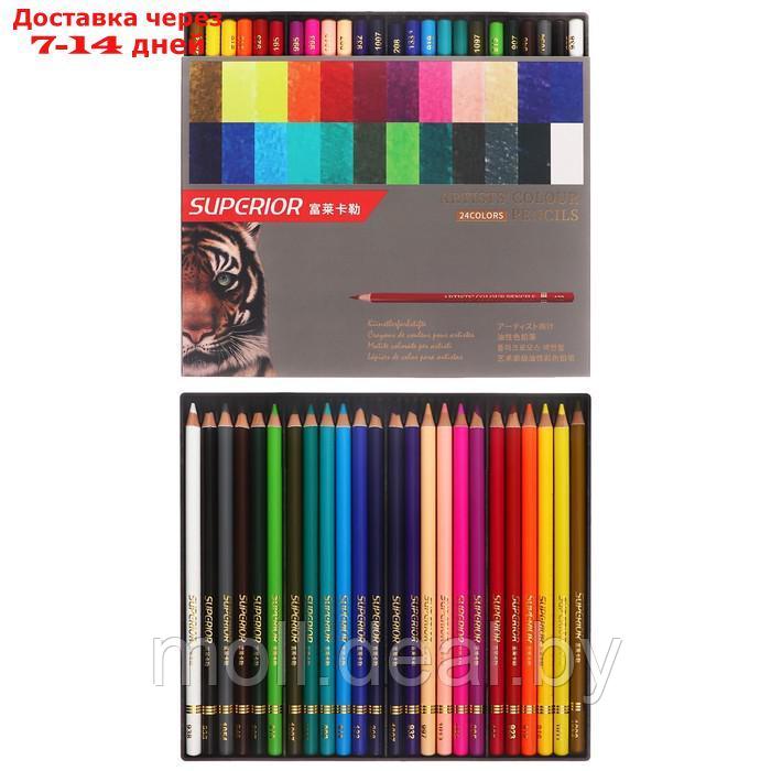 Карандаши масляные 24 цветов в картонной коробке OCP-24 - фото 1 - id-p227079573