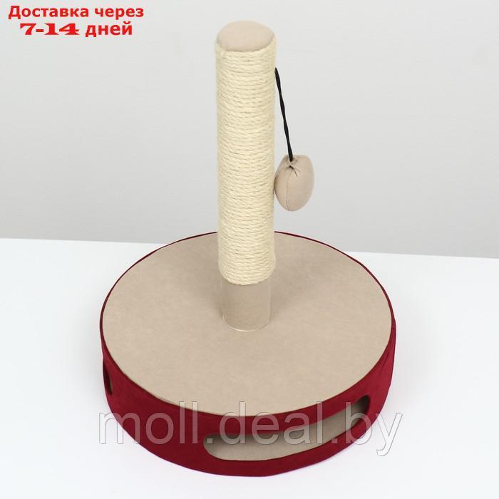 Когтеточка-столбик на подставке, основание - игрушка с шариком, 34 х 46 см, бордо - фото 3 - id-p227106322