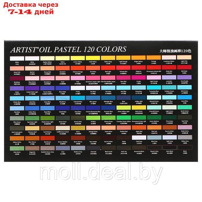 Пастель масляная 120 цветов в бумажном держателе, в картонной коробке MOP-120 - фото 6 - id-p227079576