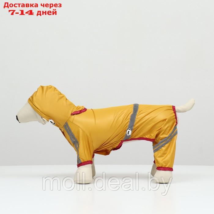 Комбинезон для собак, демисезонный, размер XL (ДС 31-33, ОГ 47-49, ОШ 35-37 см), жёлтый - фото 6 - id-p227108162