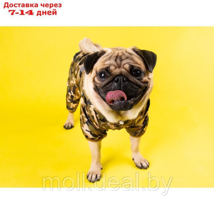Комбинезон для собак, демисезонный с подкладом, размер XL (ДС 36, Ог 52 см), камуфляжный - фото 4 - id-p227108164