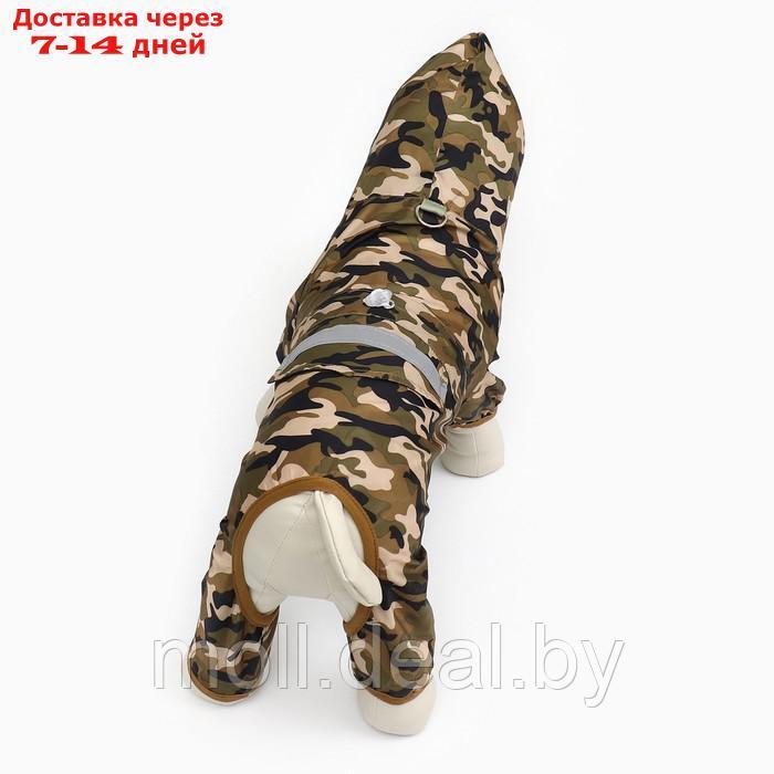 Комбинезон для собак, демисезонный с подкладом, размер XL (ДС 36, Ог 52 см), камуфляжный - фото 6 - id-p227108164
