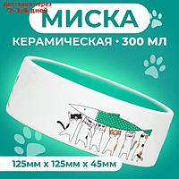 Миска керамическая "Любовь и коты" 300 мл 12,5 x 4,5 cм, мятная