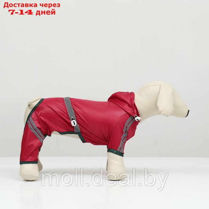 Комбинезон для собак, демисезонный, размер 2ХL (ДС 34-36, Ог 51-53, ОШ 39-41 см), красный - фото 4 - id-p227108170