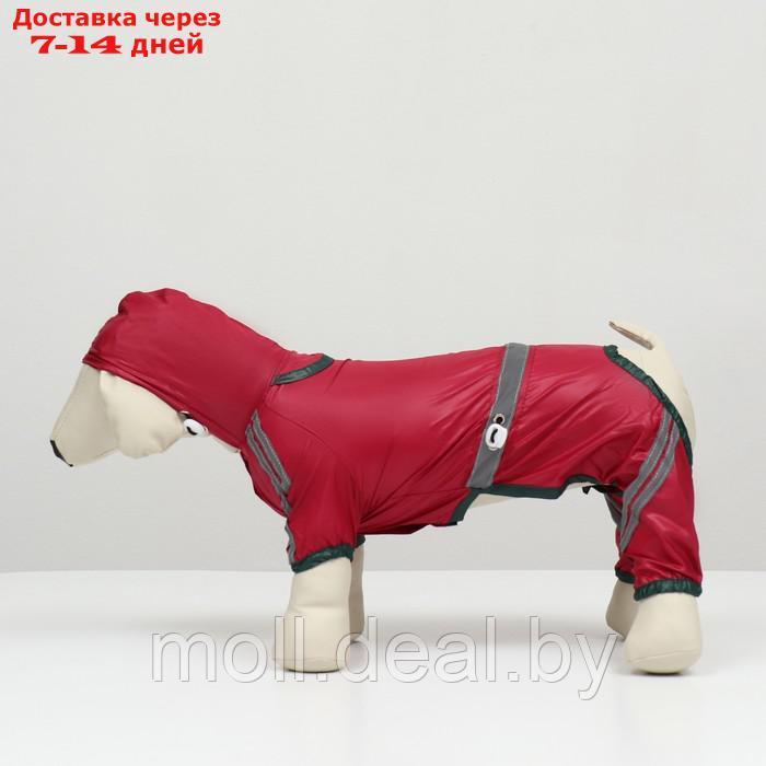 Комбинезон для собак, демисезонный, размер 2ХL (ДС 34-36, Ог 51-53, ОШ 39-41 см), красный - фото 6 - id-p227108170