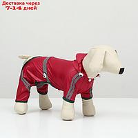 Комбинезон для собак, демисезонный, размер ХL (ДС 31-33, Ог 47-49, ОШ 35-37 см), красный