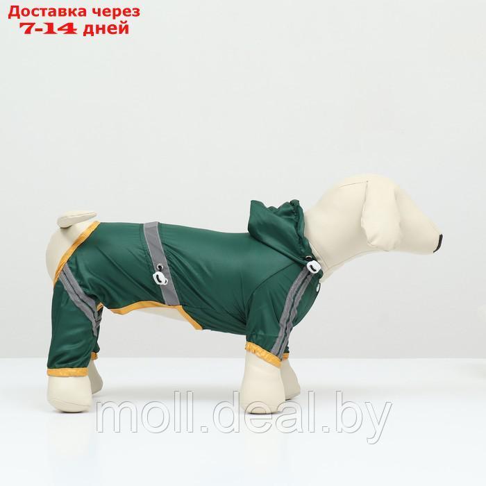 Комбинезон для собак, демисезонный, размер S (ДС 21-23, Ог 31-33, ОШ 23-25 см), зелёный - фото 4 - id-p227108174