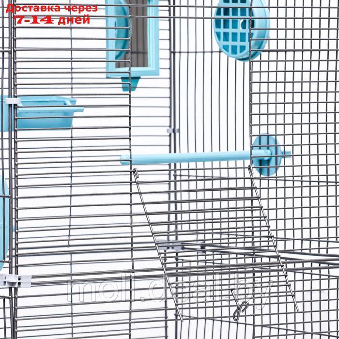 Клетка для птиц "Пижон" №103, разборная, 10,5мм, 42 х 30 х 93см (укомплект.) бирюзовая - фото 6 - id-p226888309