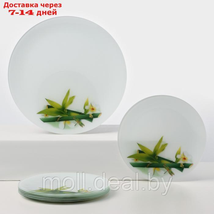 Набор стеклянных тарелок Доляна "Бамбук", 7 предметов - фото 1 - id-p227076612