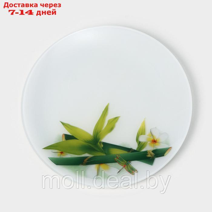 Набор стеклянных тарелок Доляна "Бамбук", 7 предметов - фото 2 - id-p227076612