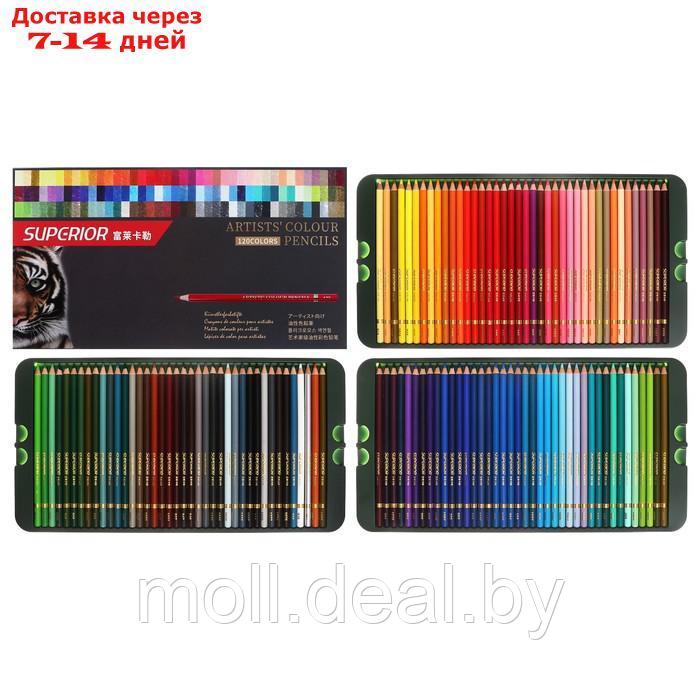 Карандаши масляные 120 цветов в картонной коробке OCP-120 - фото 1 - id-p227079591