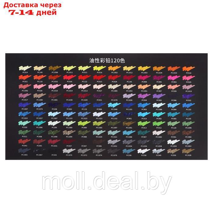 Карандаши масляные 120 цветов в картонной коробке OCP-120 - фото 8 - id-p227079591