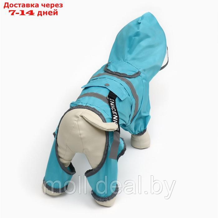 Комбинезон для собак, демисезонный с козырьком, размер 2ХL (ДС 45, Ог 62, ОШ 47 см), голубой 93812 - фото 5 - id-p227108182