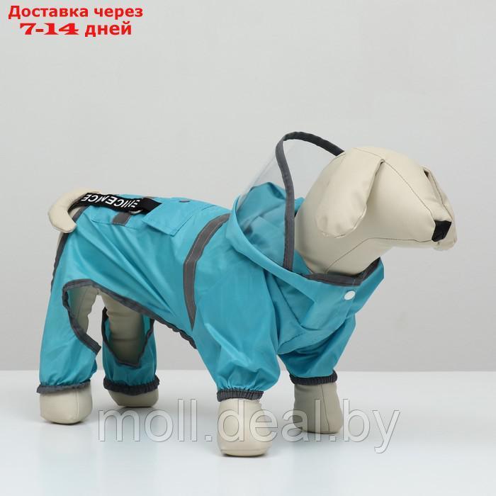 Комбинезон для собак, демисезонный с козырьком, размер ХL (ДС 40, Ог 58, ОШ 43 см), голубой 938121 - фото 1 - id-p227108183