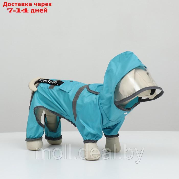Комбинезон для собак, демисезонный с козырьком, размер ХL (ДС 40, Ог 58, ОШ 43 см), голубой 938121 - фото 3 - id-p227108183