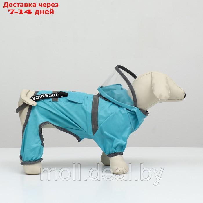 Комбинезон для собак, демисезонный с козырьком, размер ХL (ДС 40, Ог 58, ОШ 43 см), голубой 938121 - фото 4 - id-p227108183