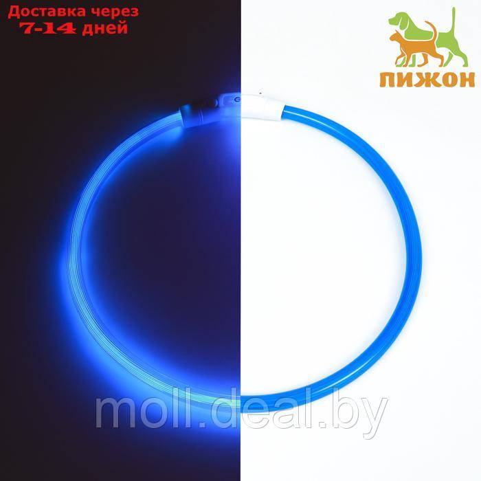 Ошейник - кольцо с подсветкой, зарядка от USB, до 70 см, 3 режима свечения, голубой - фото 1 - id-p226888315