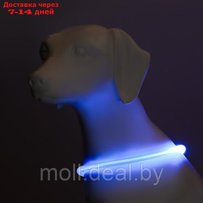 Ошейник - кольцо с подсветкой, зарядка от USB, до 70 см, 3 режима свечения, голубой - фото 3 - id-p226888315