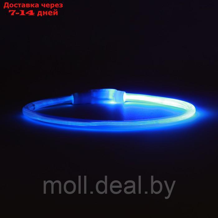 Ошейник - кольцо с подсветкой, зарядка от USB, до 70 см, 3 режима свечения, голубой - фото 6 - id-p226888315