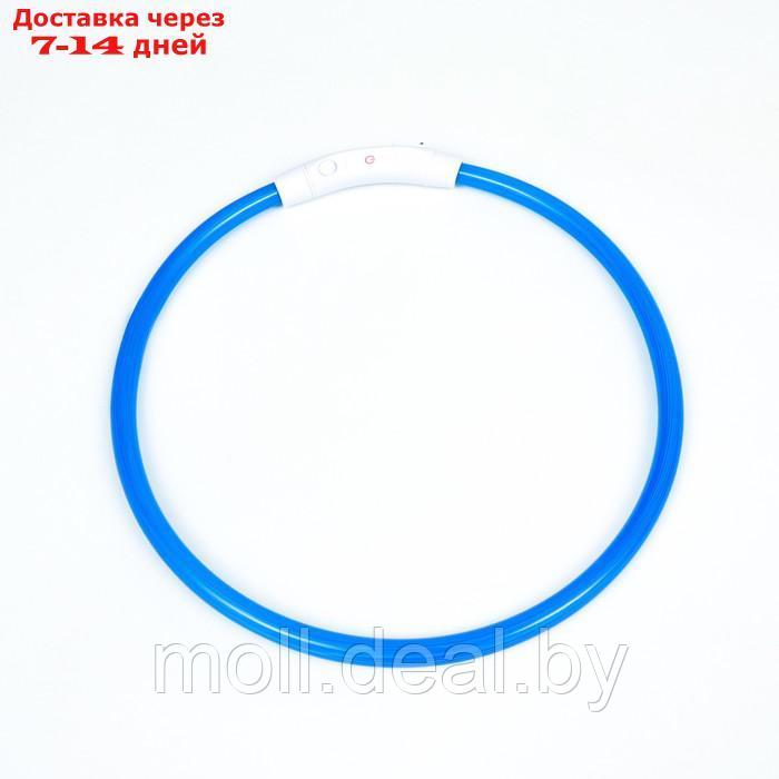 Ошейник - кольцо с подсветкой, зарядка от USB, до 70 см, 3 режима свечения, голубой - фото 7 - id-p226888315