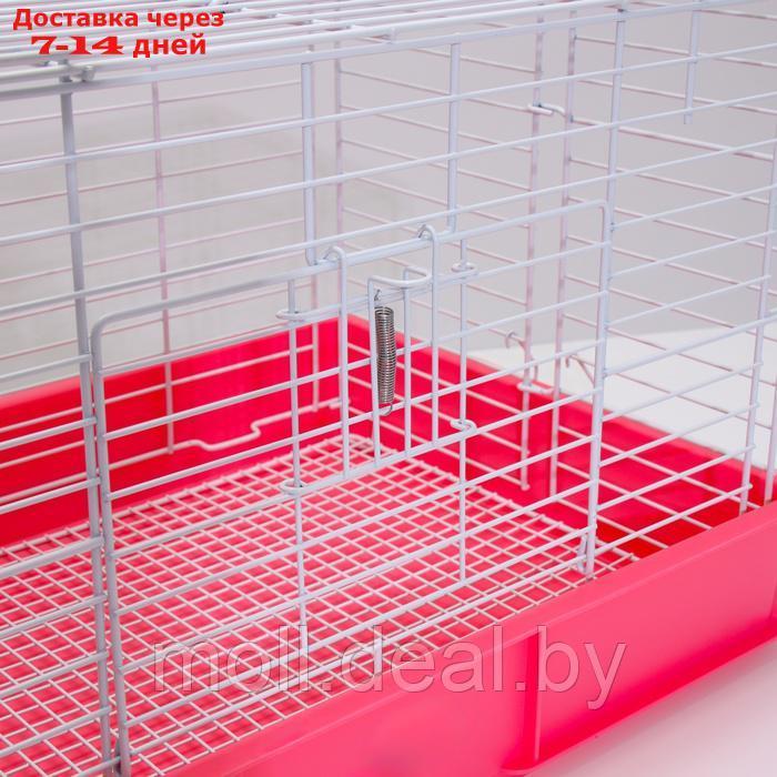 Клетка для кроликов RT-1, 62 х 42 х 39 см, розовая - фото 6 - id-p226888320