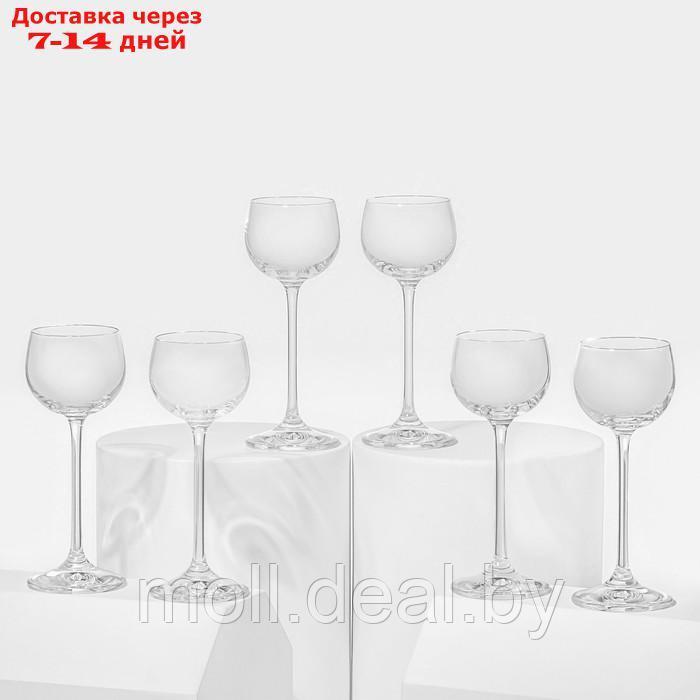 Набор стеклянных рюмок "Пион", 60 мл, 6 шт - фото 1 - id-p226884462