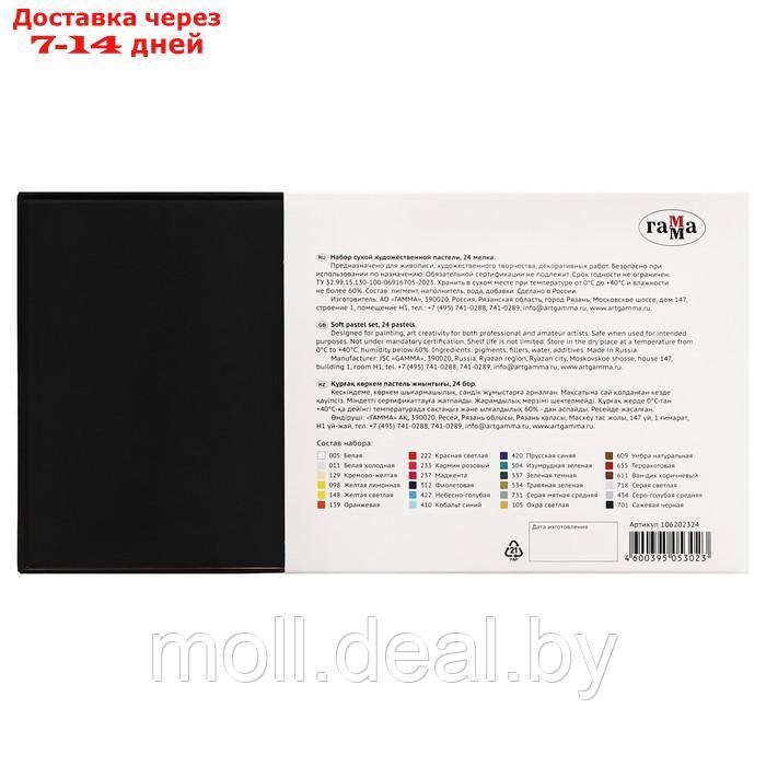 Пастель сухая набор 24 цвета "Гамма", D-15 мм/L-48 мм, в картонной коробке - фото 5 - id-p227079604