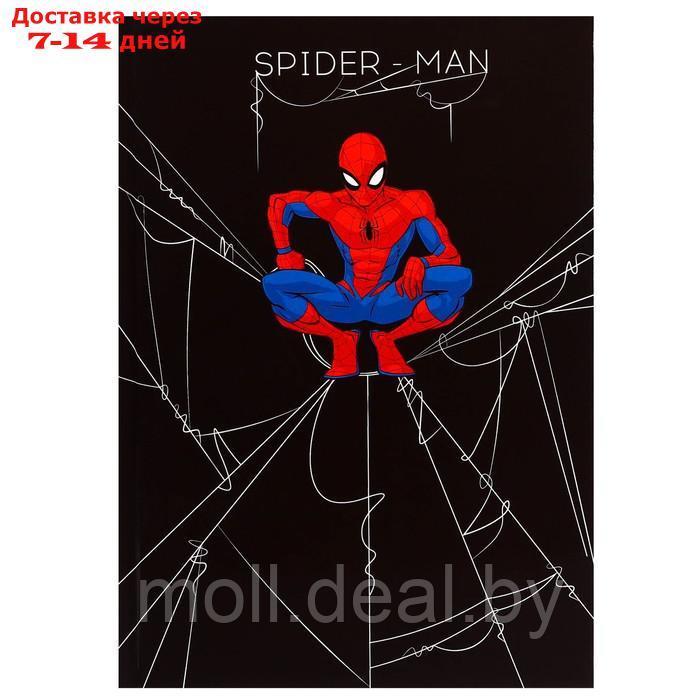 Ежедневник А5, 160 листов "Spider-man", Человек-паук - фото 4 - id-p227099841