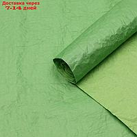 Бумага Эколюкс двухцветная салатовый /тёмно-зеленый 0,67 x 5 м