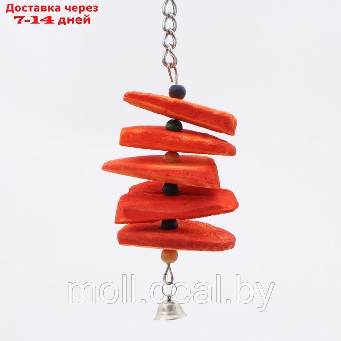 Игрушка для птиц с панцирем каракатицы и бусами, 20 х 6 см, оранжевая - фото 1 - id-p226888352
