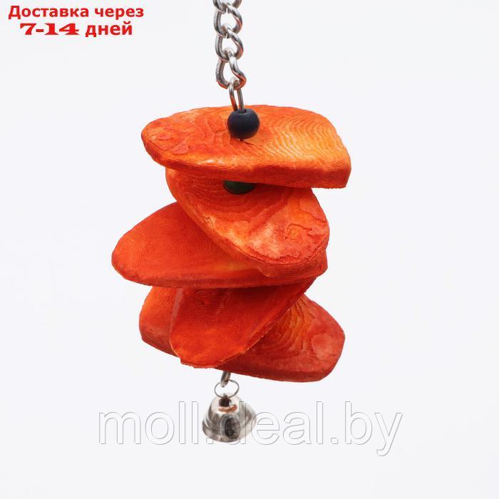 Игрушка для птиц с панцирем каракатицы и бусами, 20 х 6 см, оранжевая - фото 4 - id-p226888352