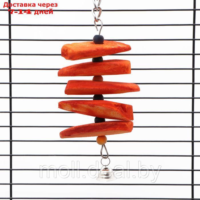 Игрушка для птиц с панцирем каракатицы и бусами, 20 х 6 см, оранжевая - фото 5 - id-p226888352