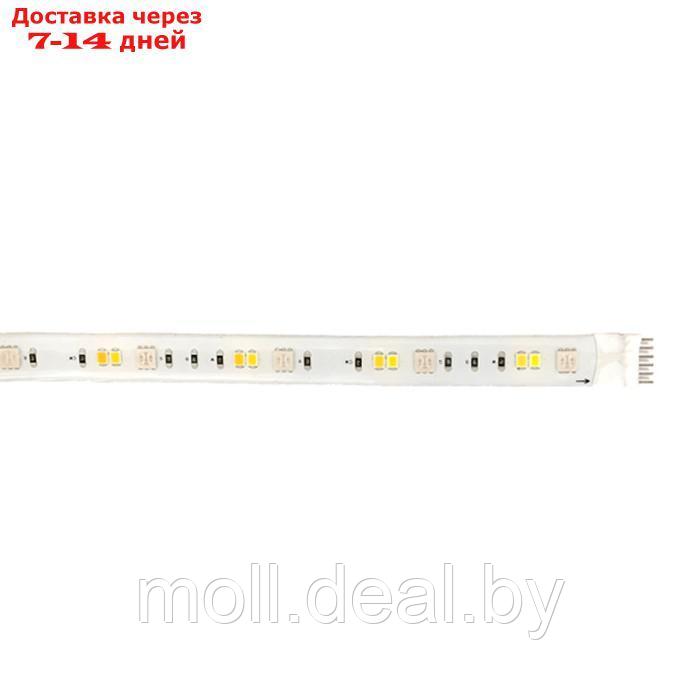 Комплект умной светодиодной ленты EKF, 24В, 90 LED/м, 5 м, IP44, Wi-Fi, RGBW - фото 8 - id-p227086590