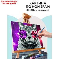 Картина по номерам на холсте 30*40 см "Кошачий космос", с акрил.кр и кистями КХ_44089