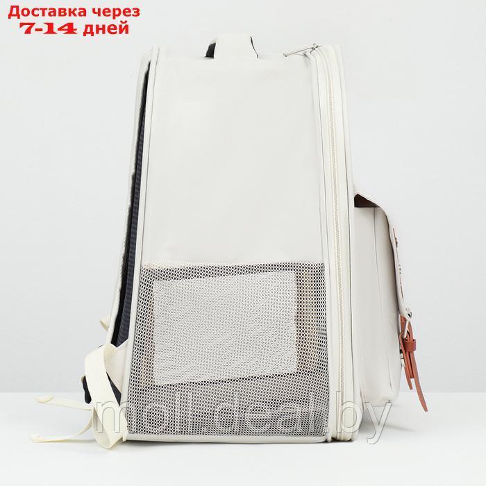 Рюкзак-переноска для животных, 39 х 40 х 25 см, белый - фото 4 - id-p226888366