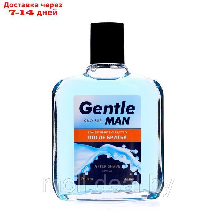 Подарочный набор Gentle: пена для бритья, 200 мл + лосьон после бритья, 100 мл - фото 2 - id-p227095058