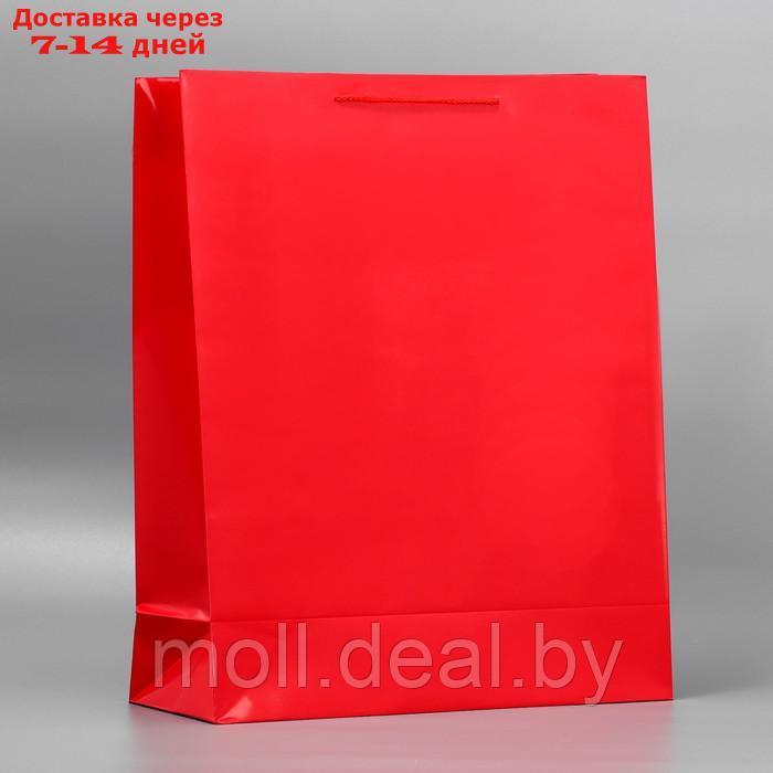 Пакет подарочный ламинированный, упаковка, "Красный", 40 х 49 х 15 см