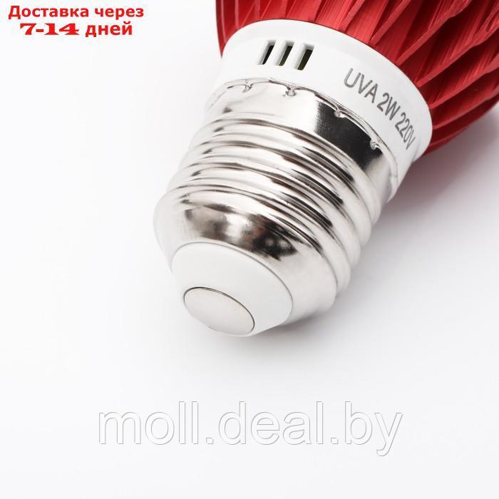 Лампа LED для террариума NomoyPet светодиодная, инфракрасная, цоколь Е27 - фото 2 - id-p226888371