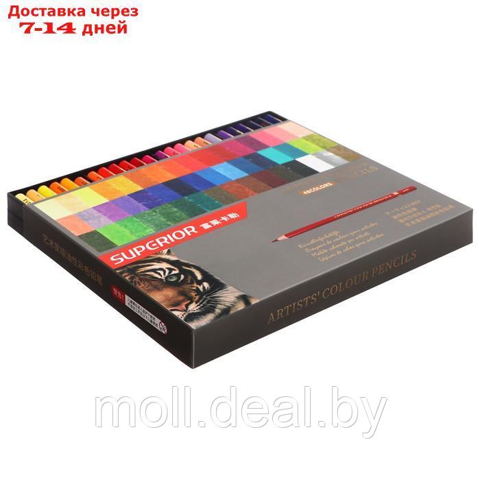 Карандаши масляные 48 цветов в картонной коробке OCP-48 - фото 2 - id-p227079661